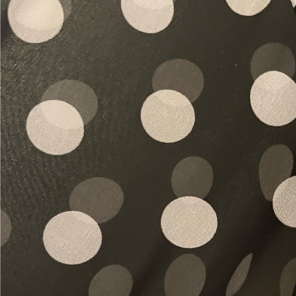 Free People sheer polka dot button down blouse Sz M - Picture 4 of 4